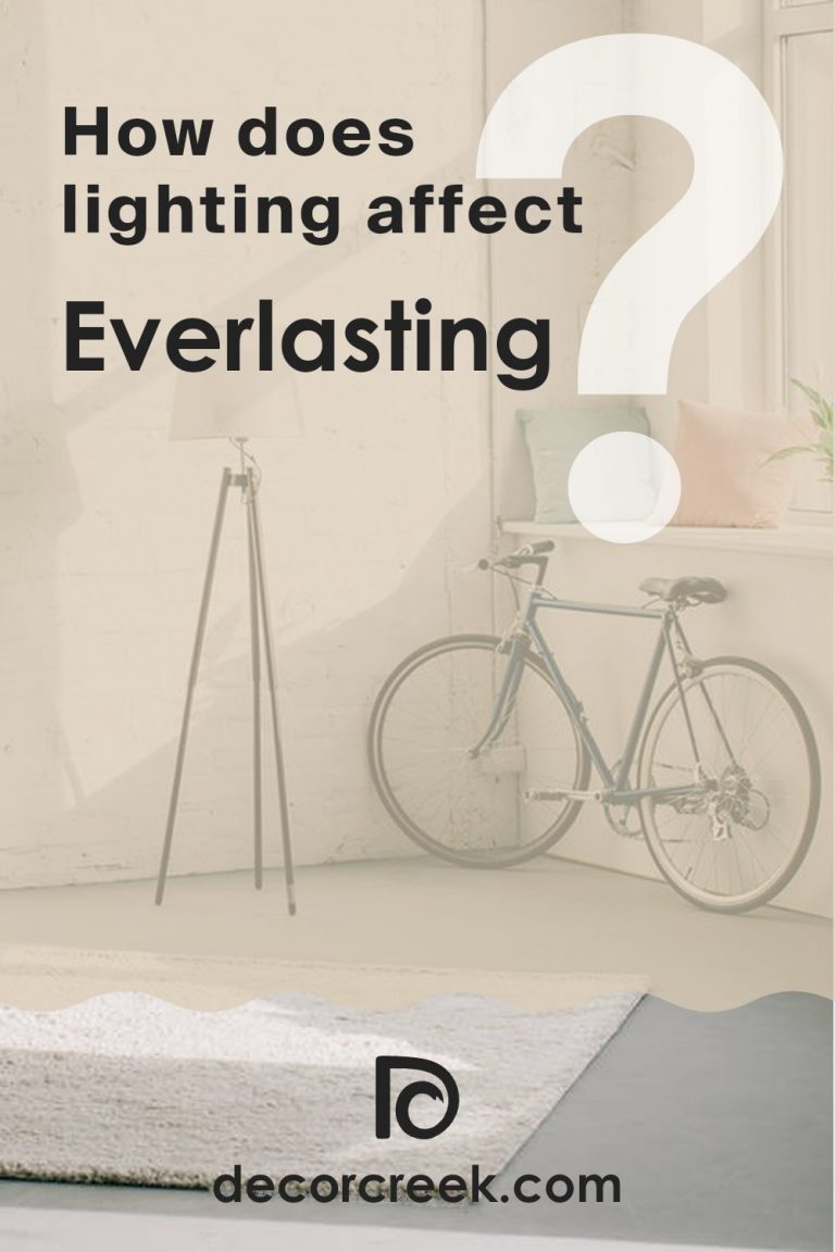 Everlasting 1038 Paint Color by Benjamin Moore - DecorCreek