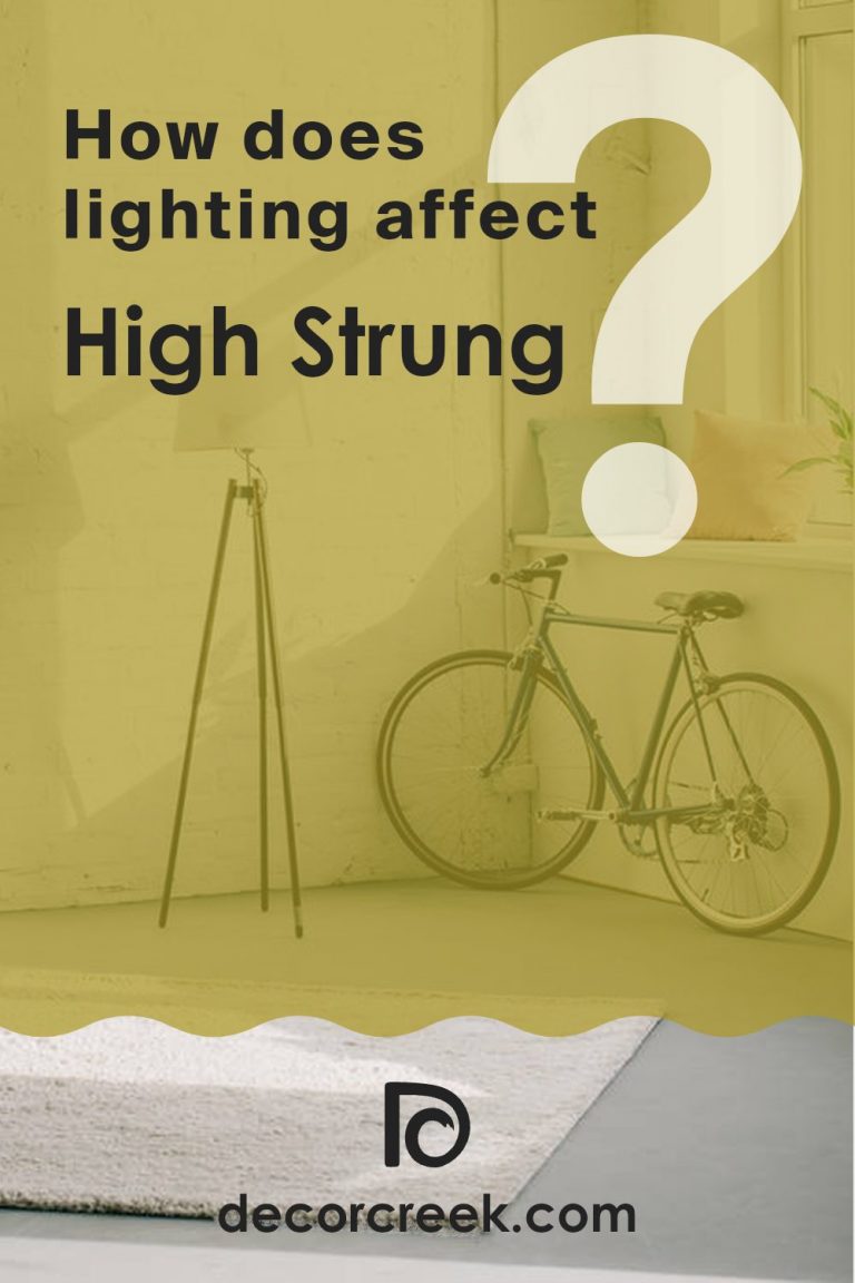 High Strung SW 6705 Paint Color by Sherwin Williams - DecorCreek