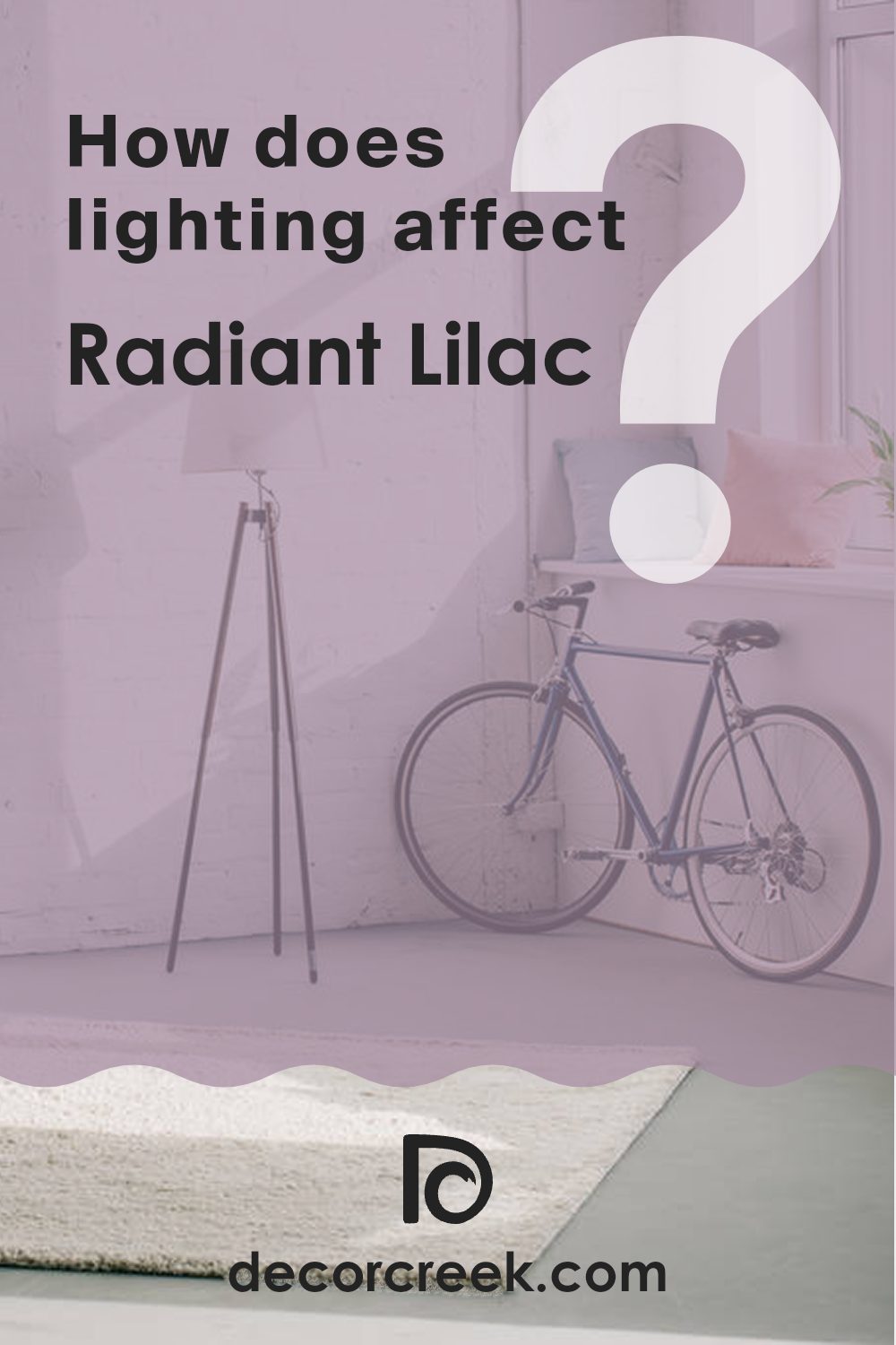 how_does_lighting_affect_radiant_lilac_sw_0074