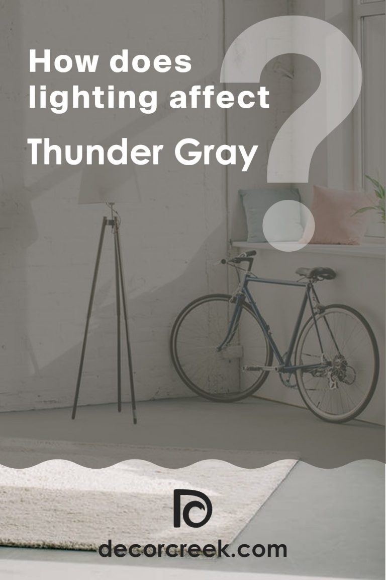 Thunder Gray SW 7645 Paint Color by Sherwin Williams - DecorCreek