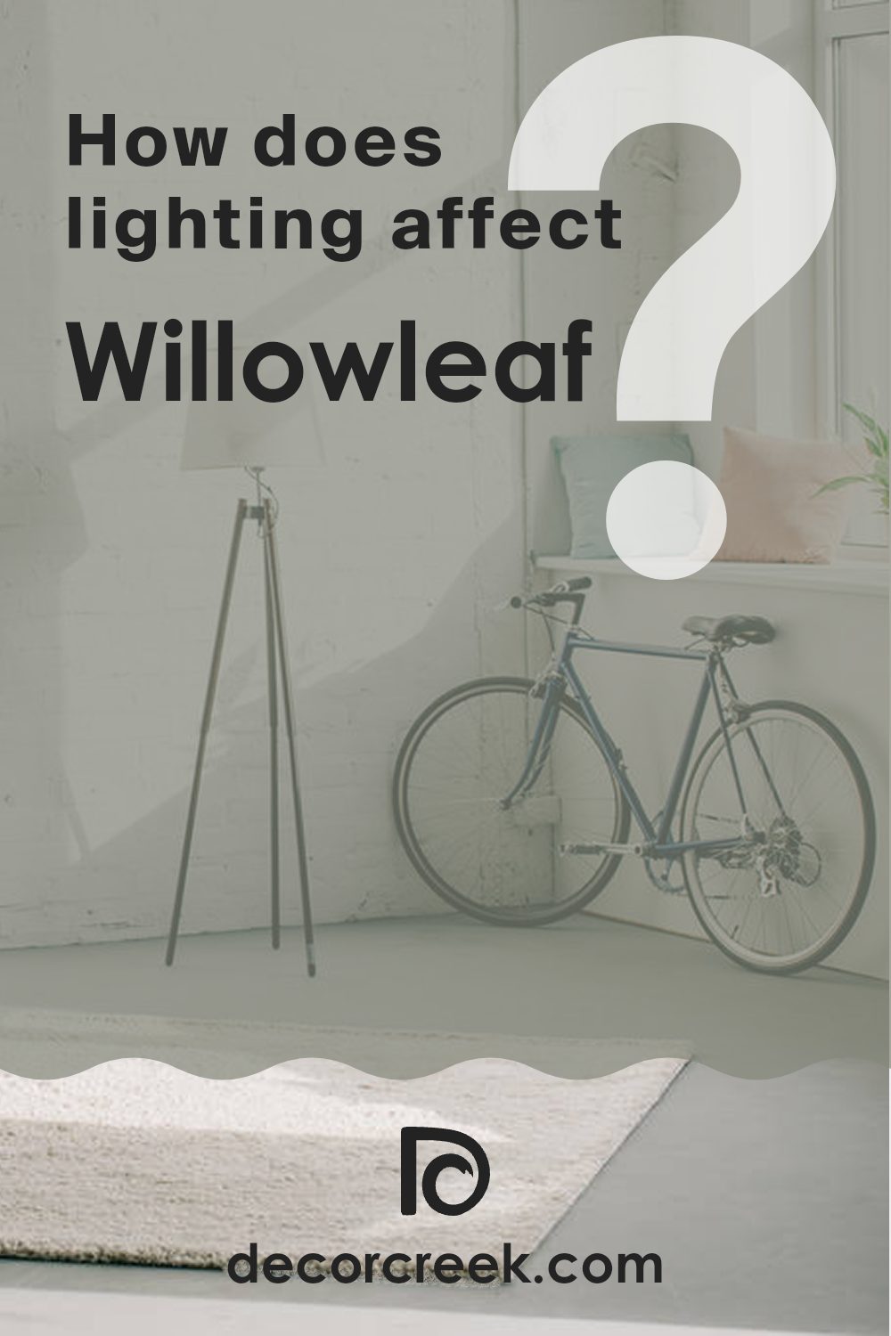 how_does_lighting_affect_willowleaf_sw_9649