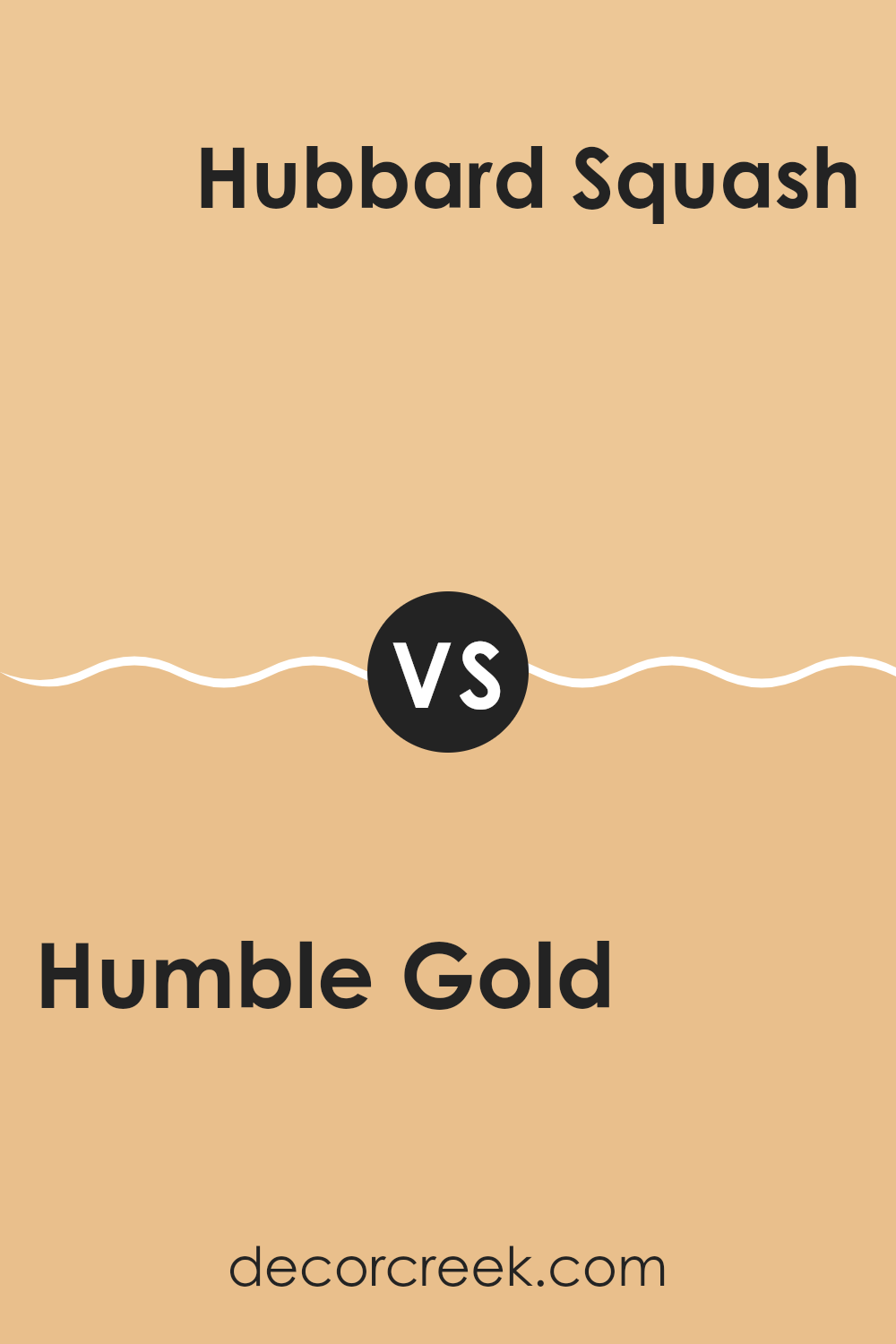 humble_gold_sw_6380_vs_hubbard_squash_sw_0044