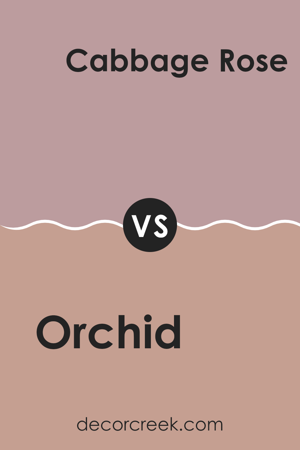orchid_sw_0071_vs_cabbage_rose_sw_0003
