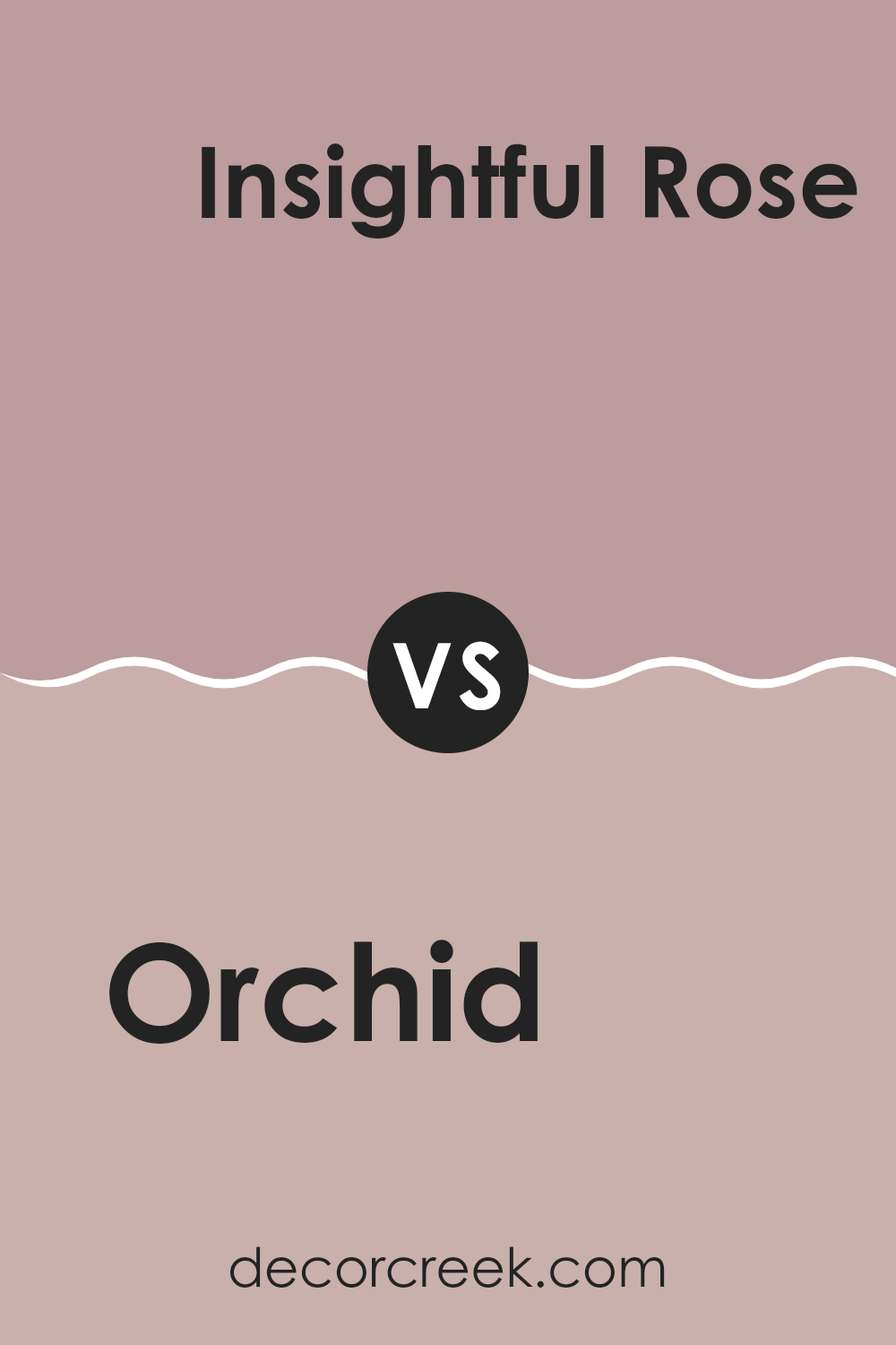 orchid_sw_0071_vs_insightful_rose_sw_6023