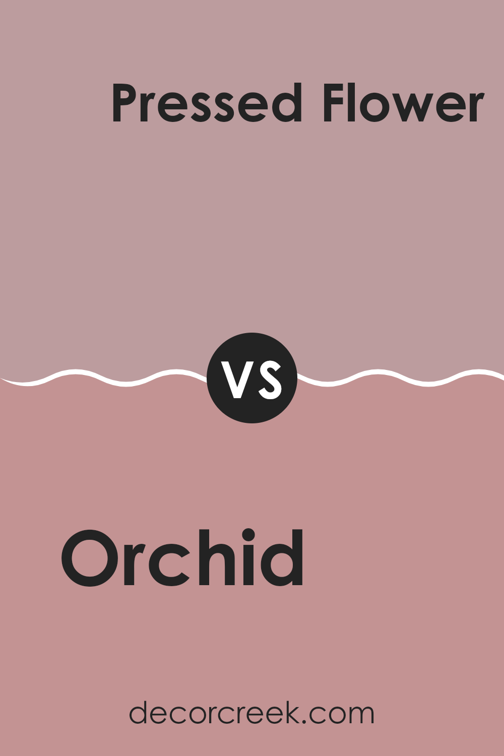 orchid_sw_0071_vs_pressed_flower_sw_6304
