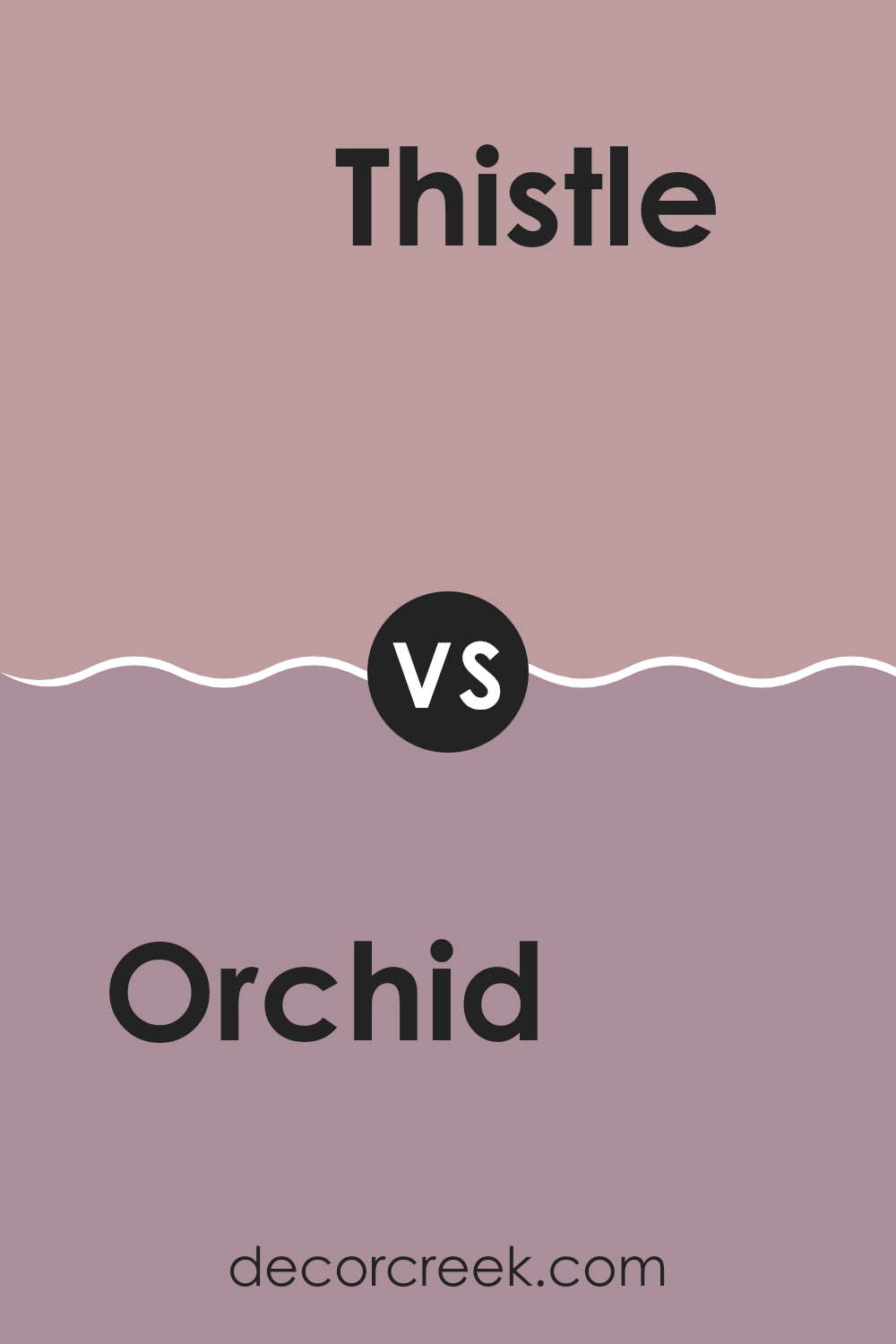orchid_sw_0071_vs_thistle_sw_6283
