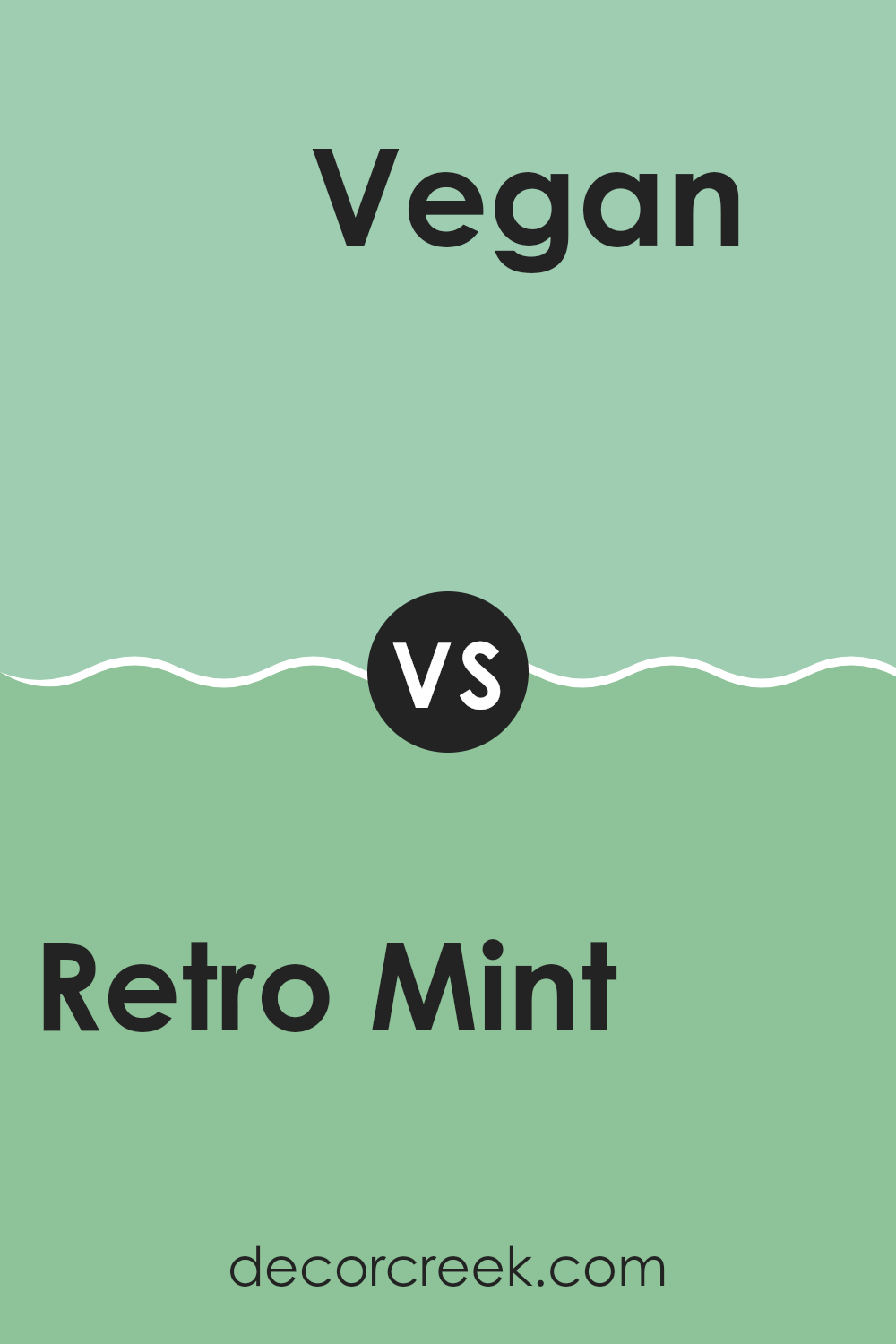 retro_mint_sw_9036_vs_vegan_sw_6738