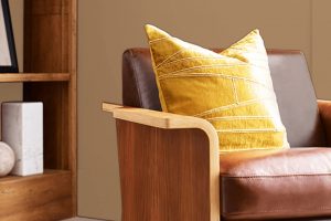 Almond Roca SW 9105 Paint Color by Sherwin Williams