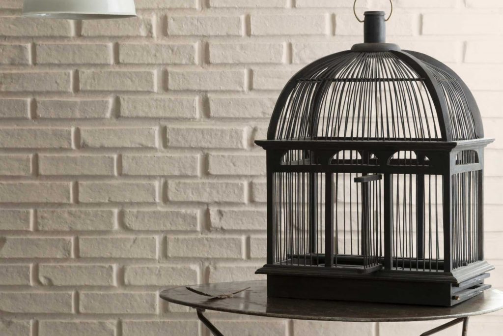 Dufferin Terrace CC-456 Paint Color by Benjamin Moore