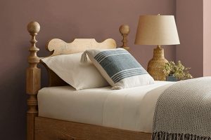 Hot Cocoa SW 6047 Paint Color by Sherwin Williams