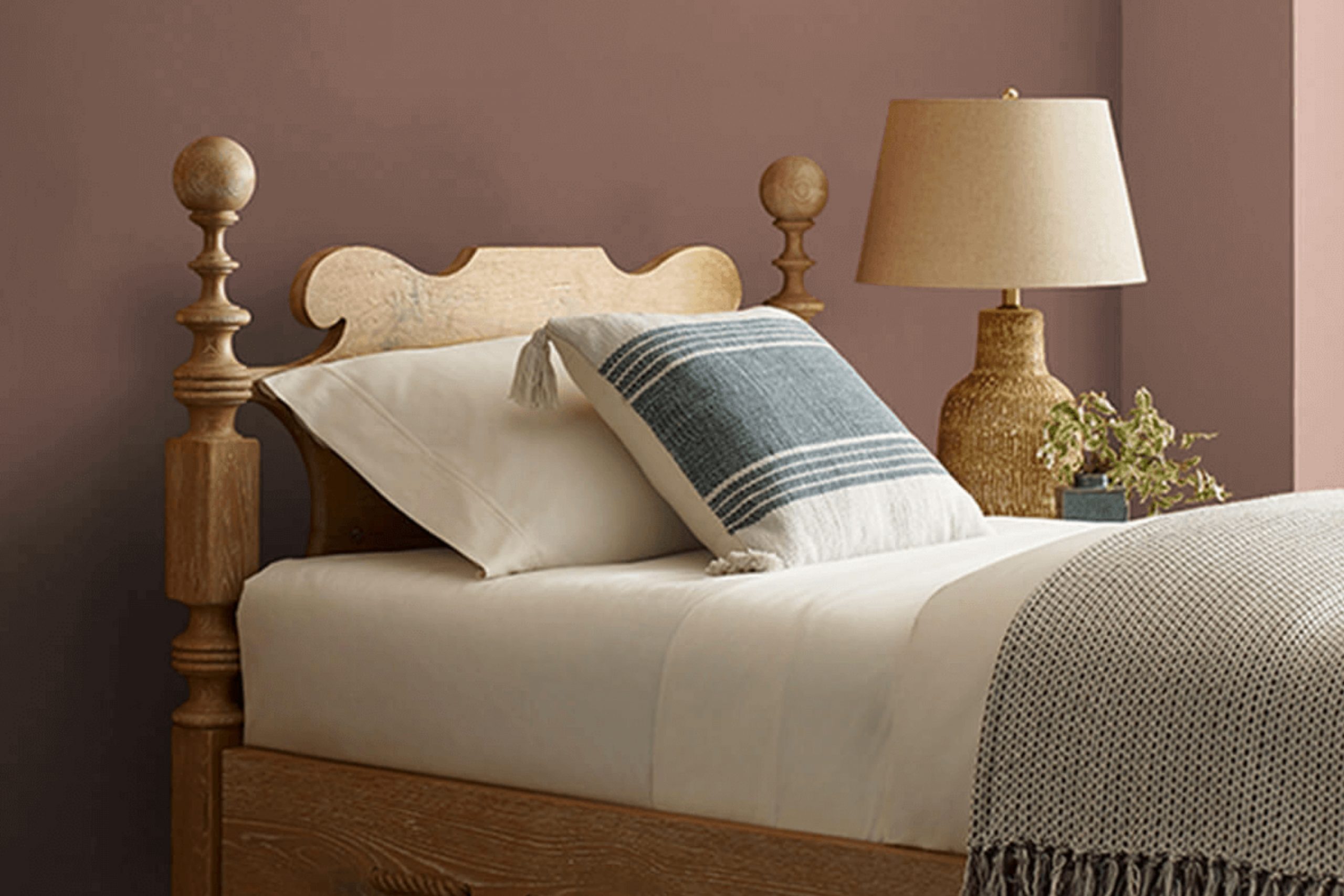 Hot Cocoa SW 6047 Paint Color by Sherwin Williams