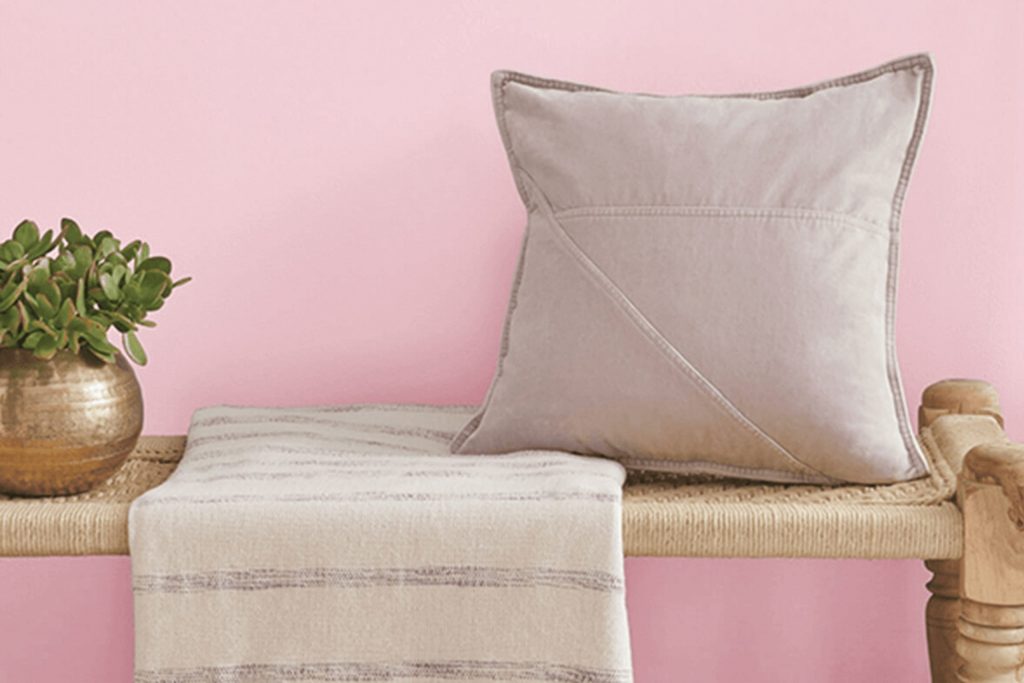Impatiens Petal SW 6582 Paint Color by Sherwin Williams