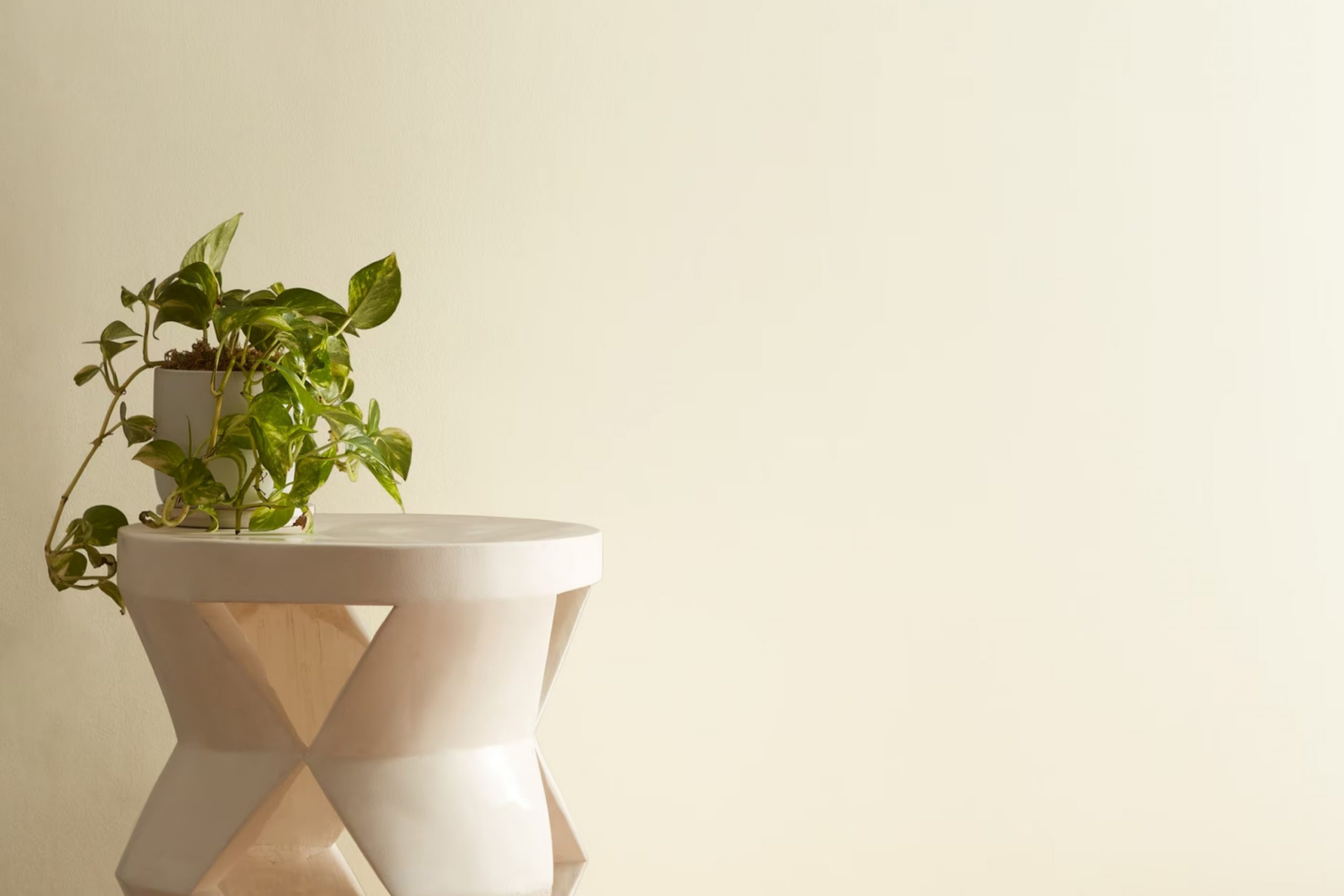 White Swan 927 Paint Color by Benjamin Moore