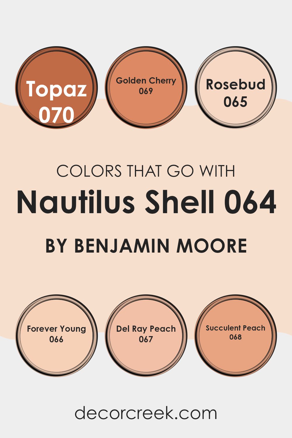 colors_that_go_with_nautilus_shell_064