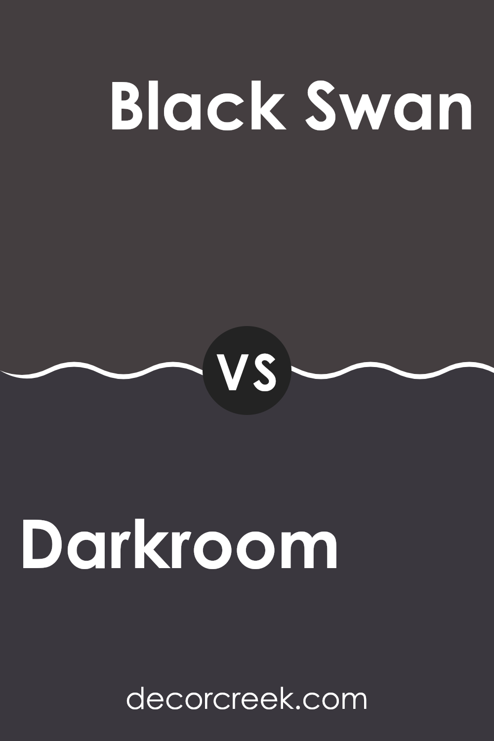 darkroom_sw_7083_vs_black_swan_sw_6279