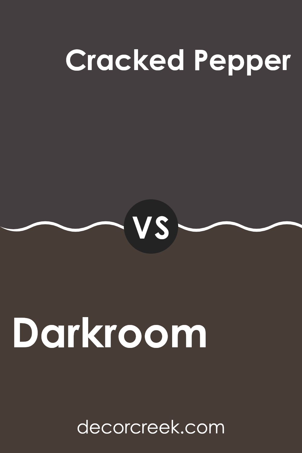 darkroom_sw_7083_vs_cracked_pepper_sw_9580
