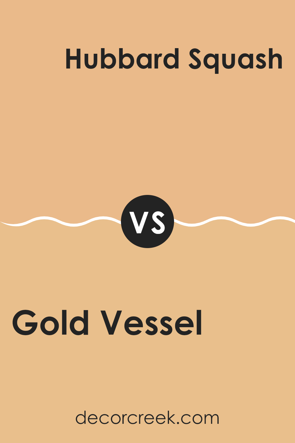gold_vessel_sw_7677_vs_hubbard_squash_sw_0044