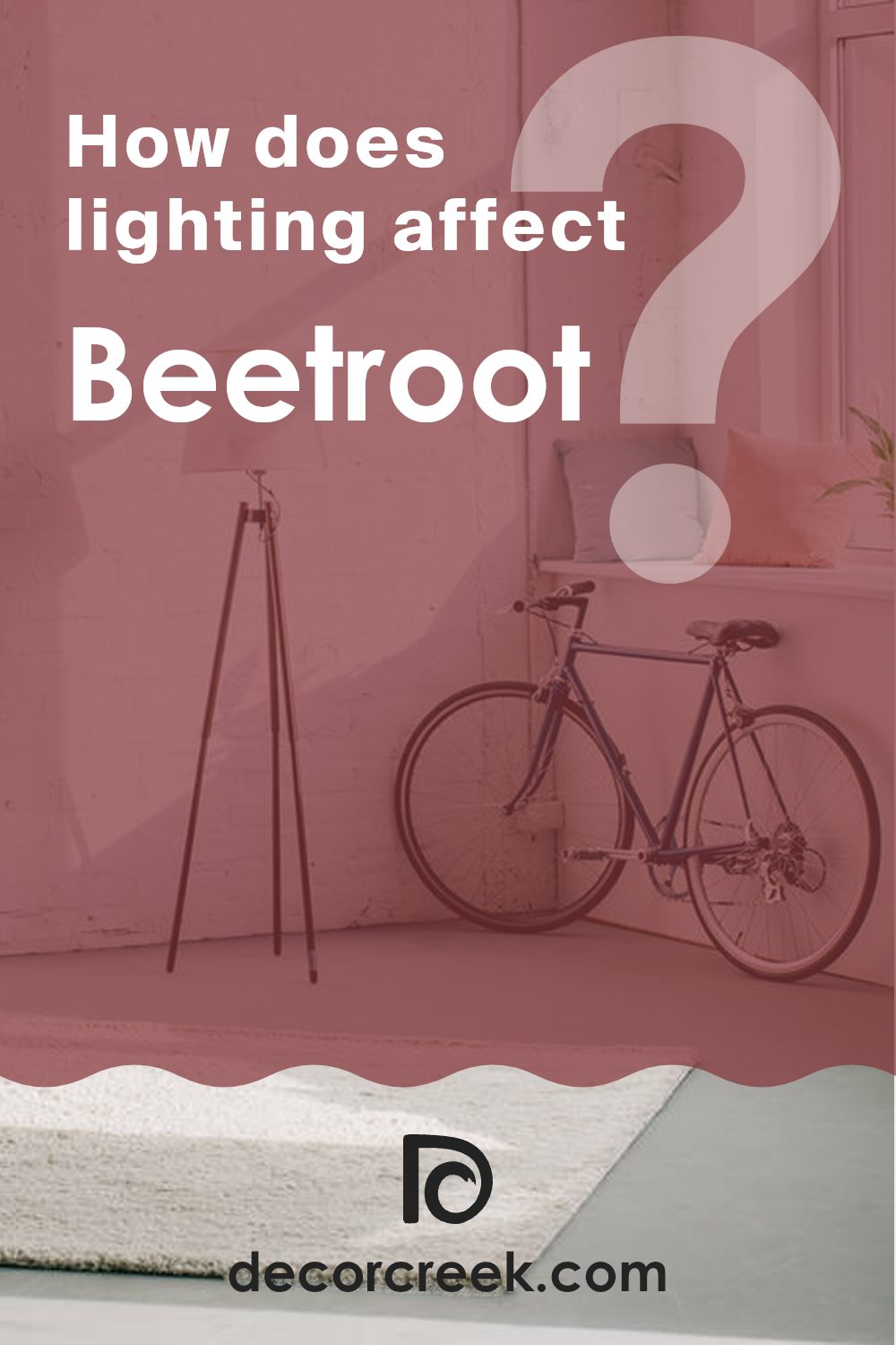 how_does_lighting_affect_beetroot_sw_9695