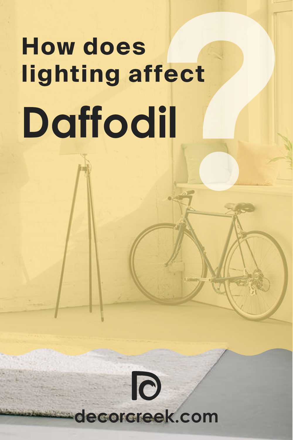 how_does_lighting_affect_daffodil_sw_6901