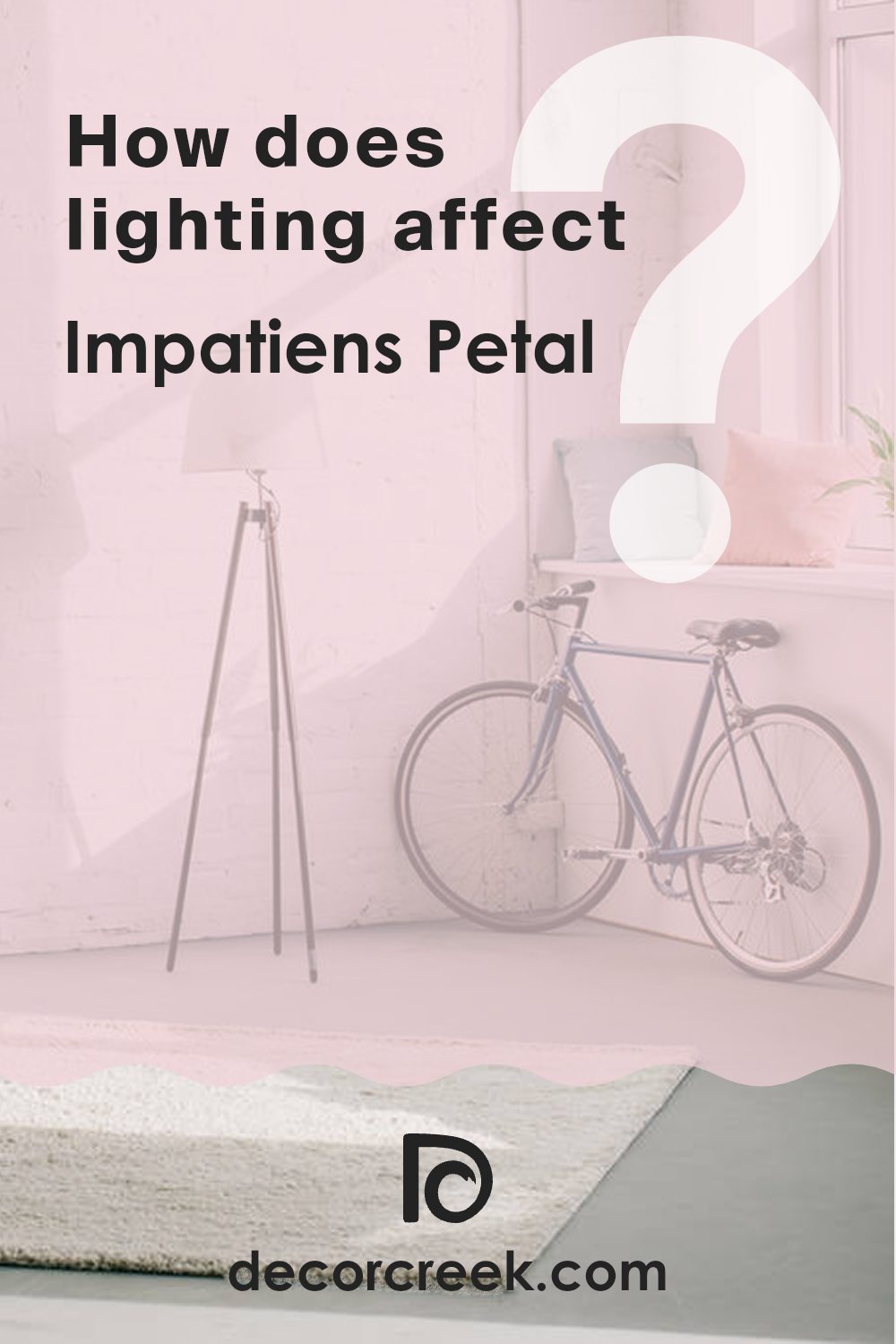 how_does_lighting_affect_impatiens_petal_sw_6582