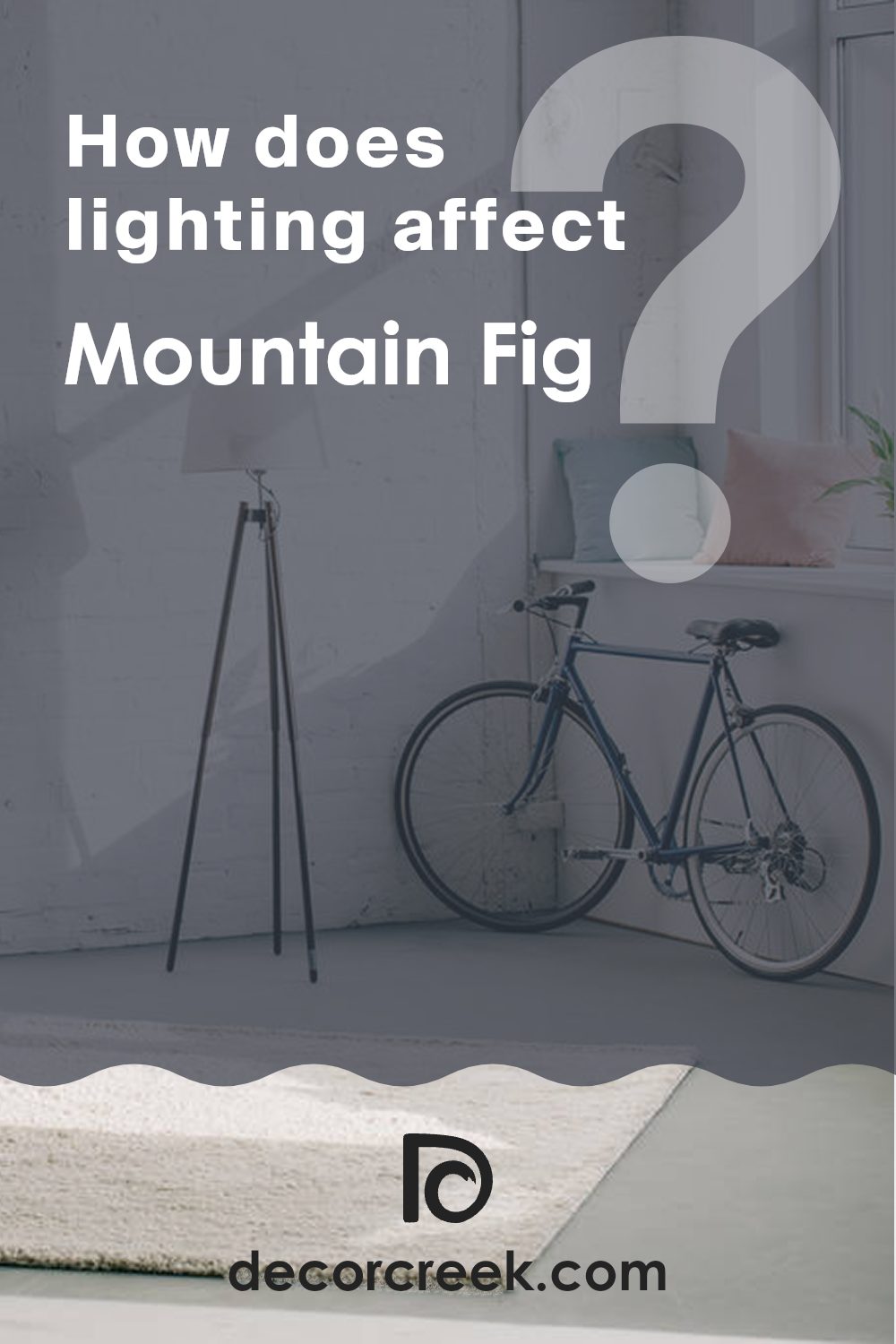 how_does_lighting_affect_mountain_fig_sw_9690