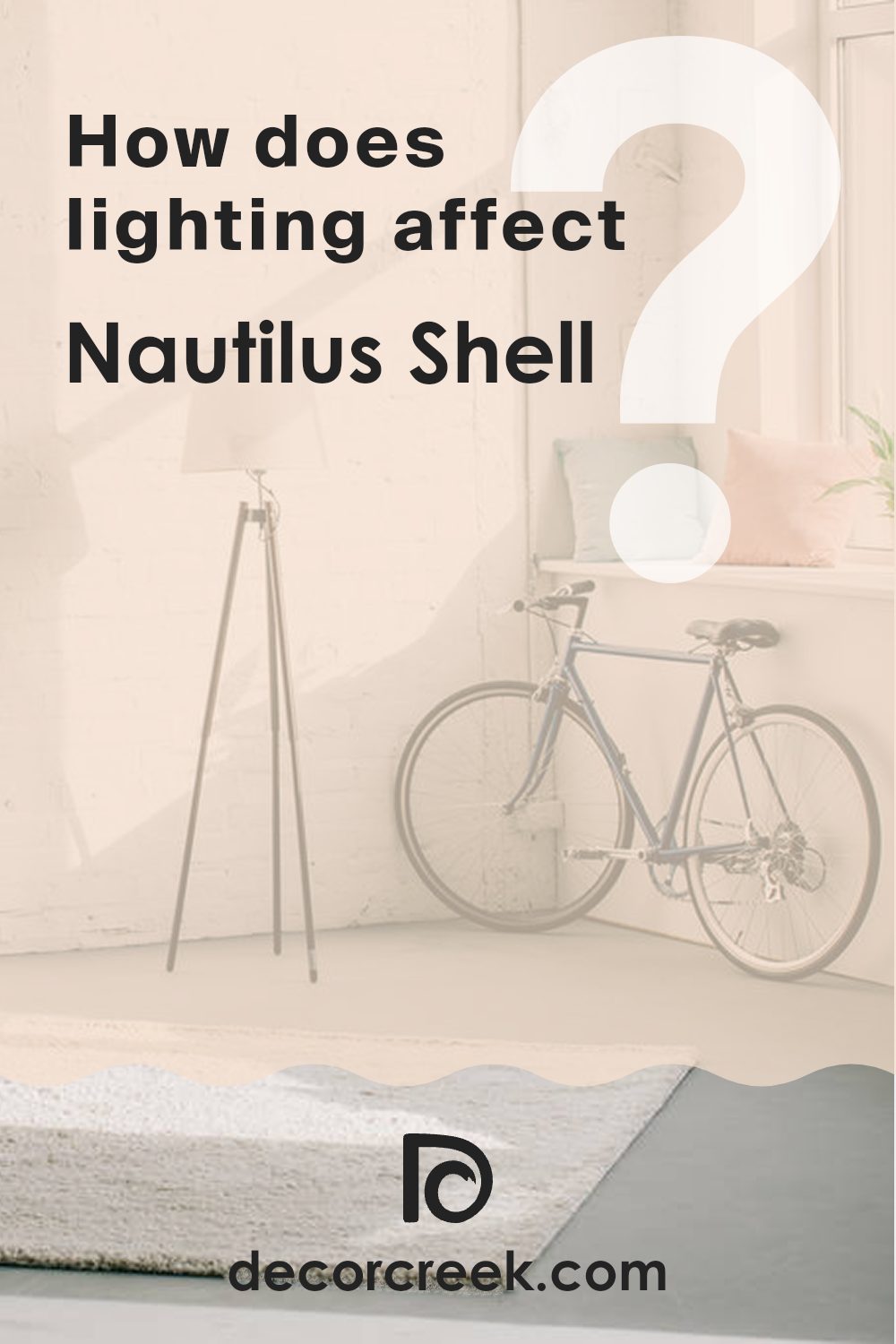 how_does_lighting_affect_nautilus_shell_064