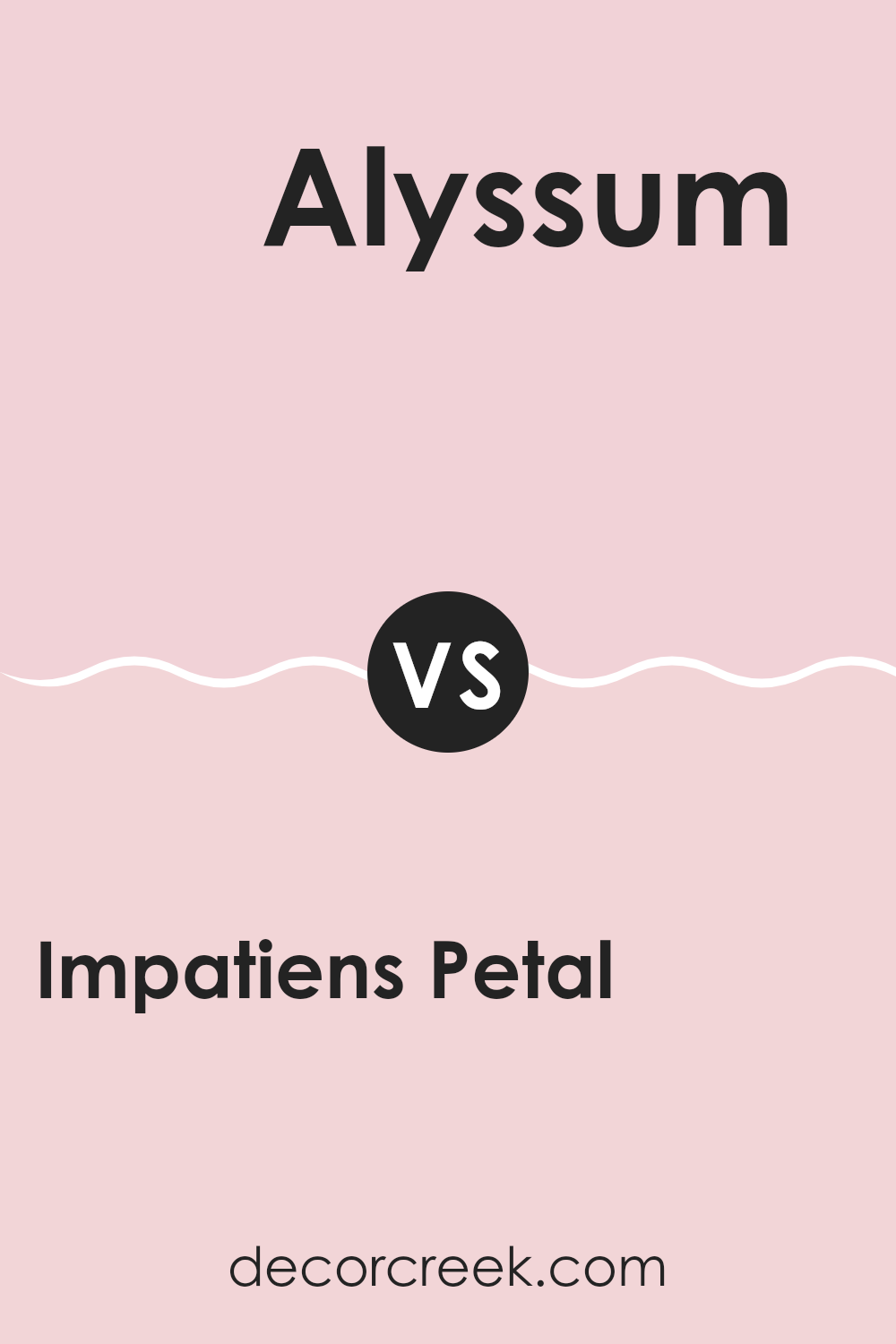 impatiens_petal_sw_6582_vs_alyssum_sw_6589