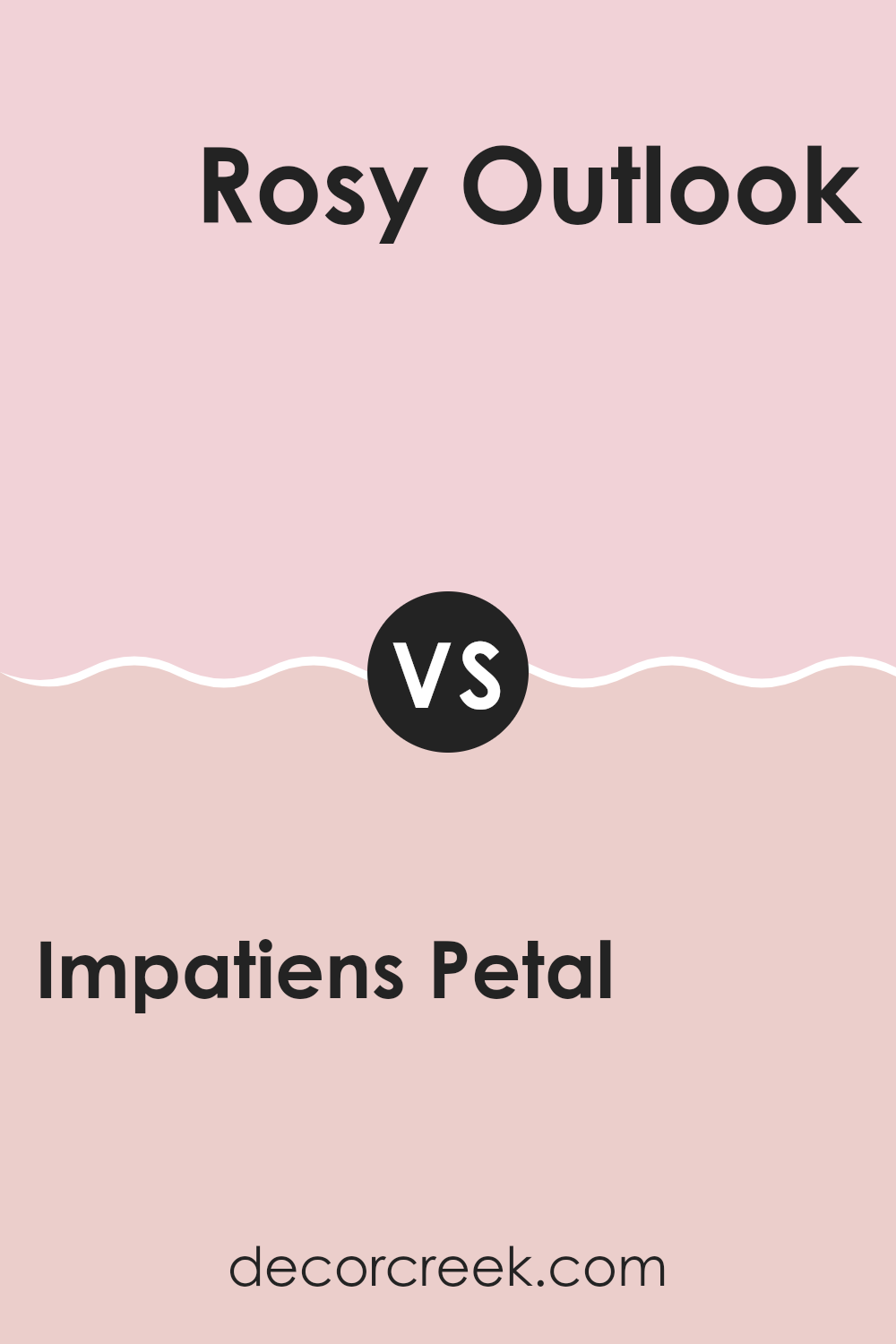 impatiens_petal_sw_6582_vs_rosy_outlook_sw_6316