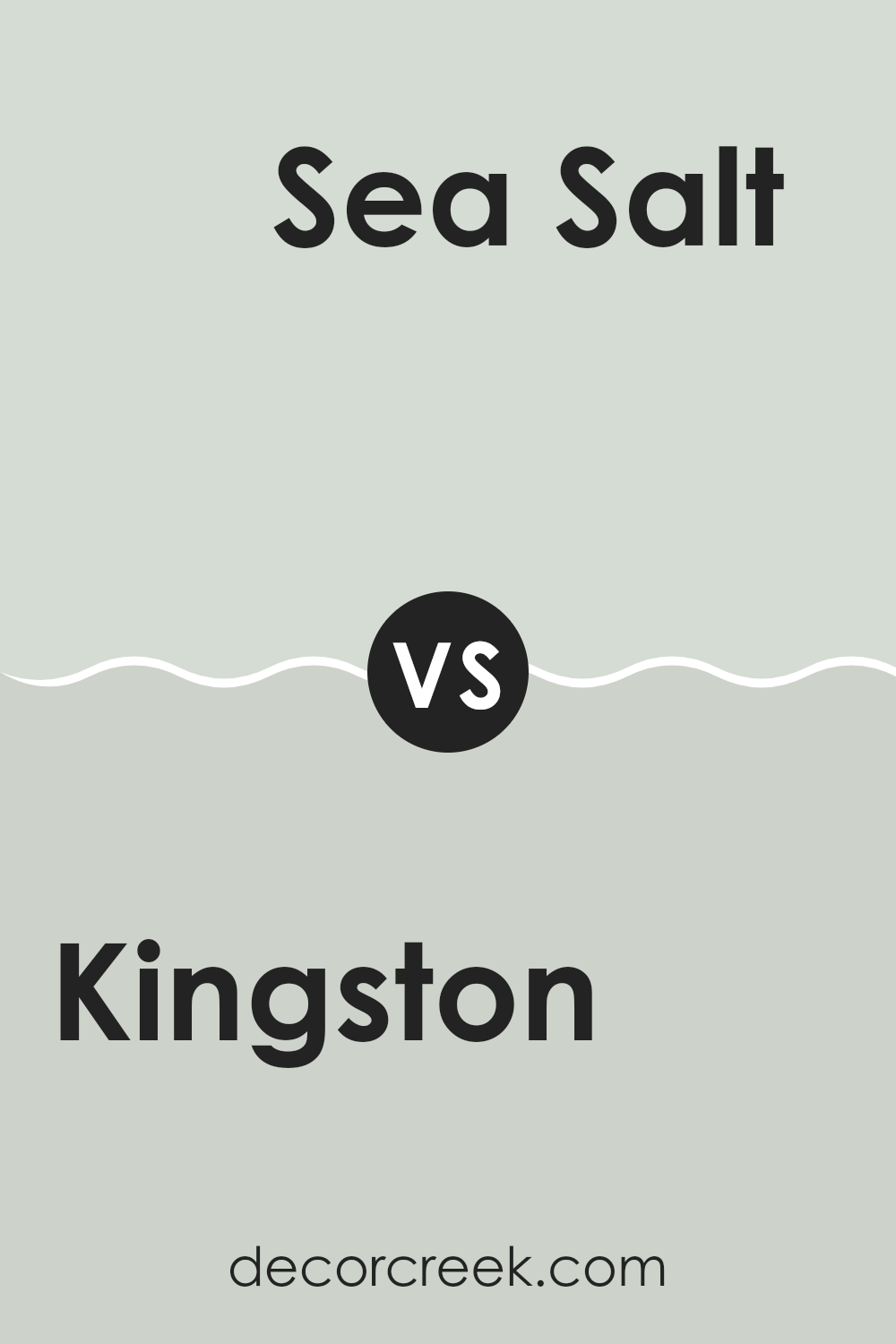 kingston_sw_9677_vs_sea_salt_sw_6204