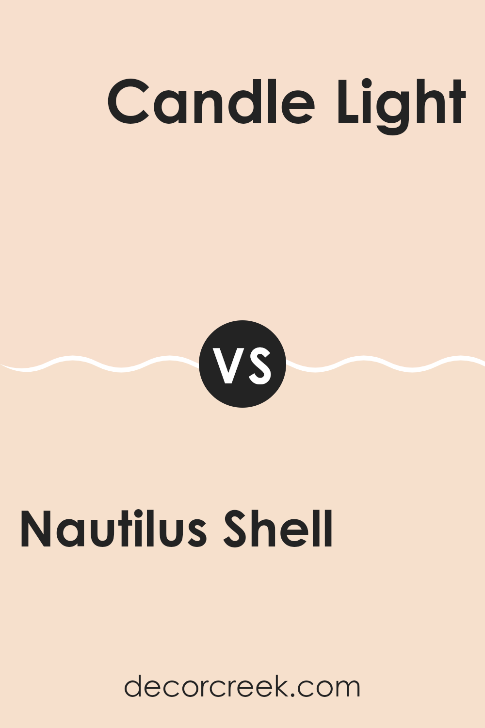 nautilus_shell_064_vs_candle_light_099