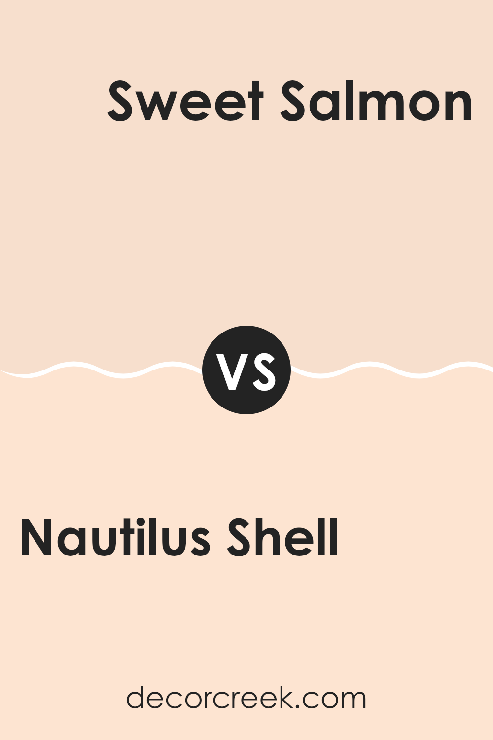 nautilus_shell_064_vs_sweet_salmon_2167_60