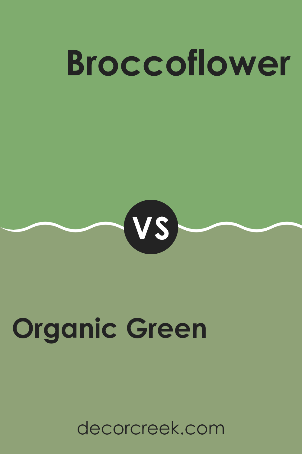 organic_green_sw_6732_vs_broccoflower_sw_9039