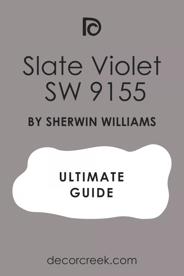 Slate Violet SW 9155 Paint Color by Sherwin Williams - DecorCreek