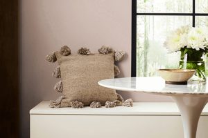 Doeskin SW 6044 Paint Color by Sherwin Williams