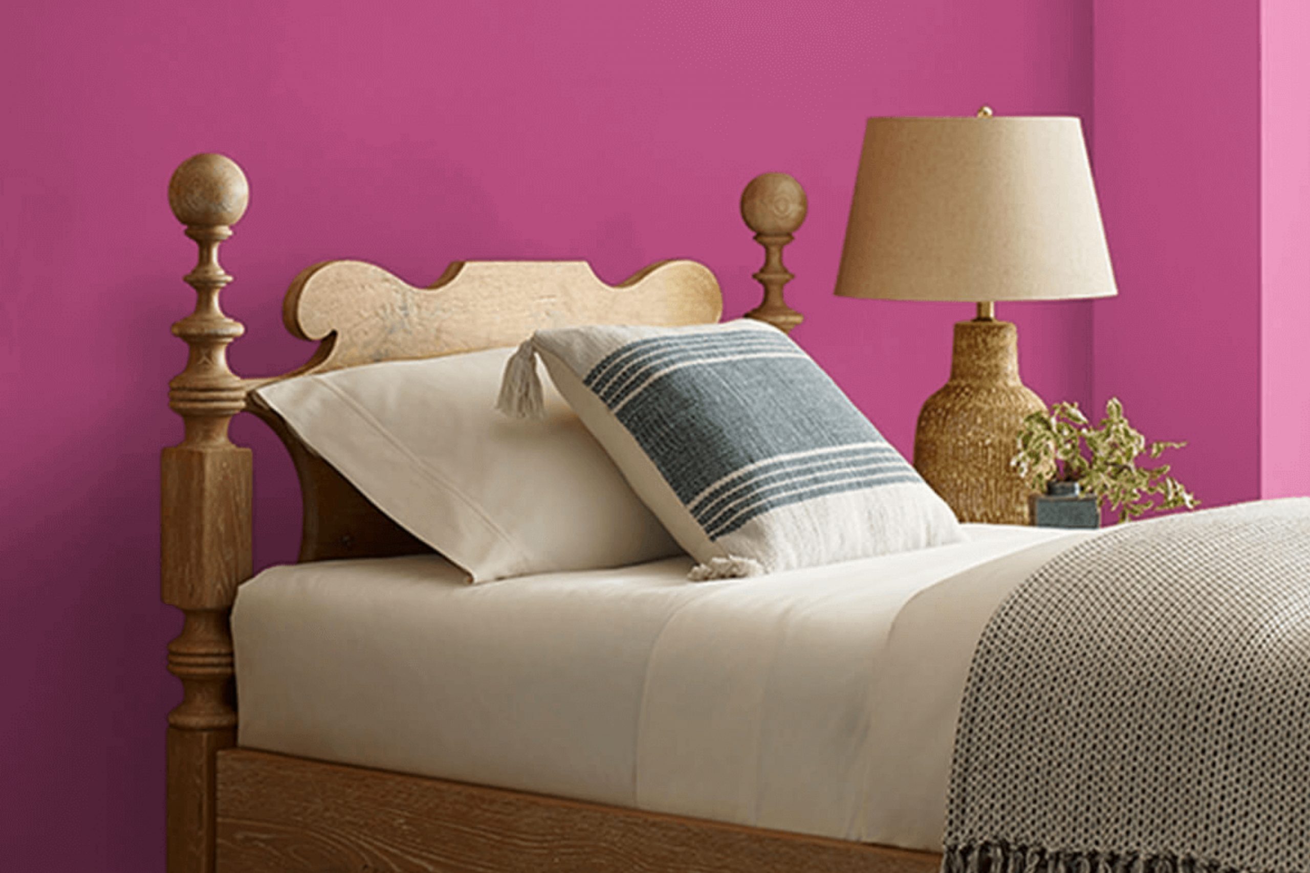 Exuberant Pink SW 6840 Paint Color by Sherwin Williams