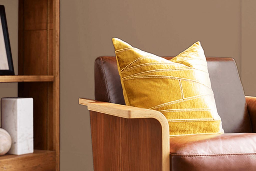 Rookwood Clay SW 2823 Paint Color by Sherwin Williams
