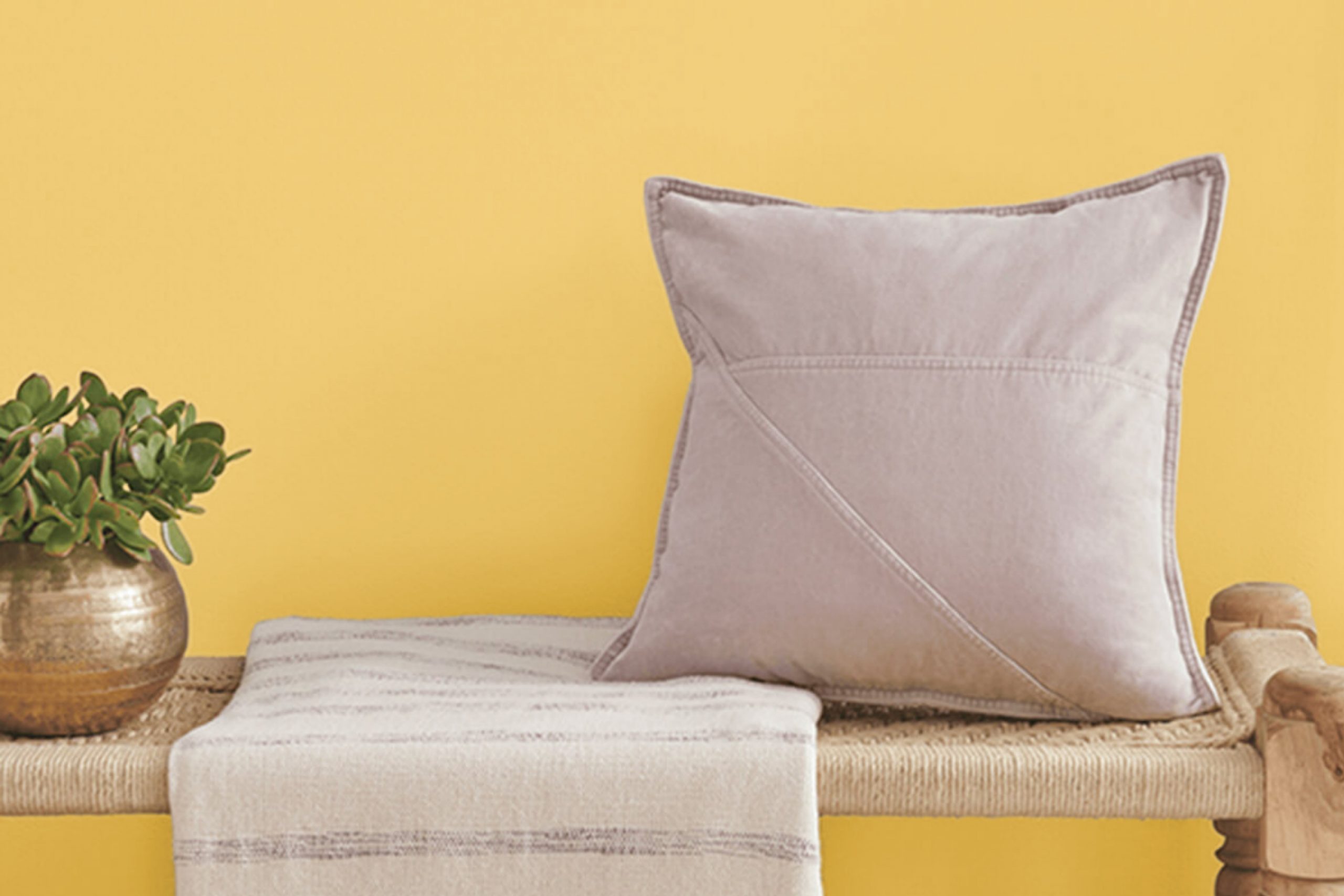 Yellow Bird SW 9022 Paint Color by Sherwin Williams