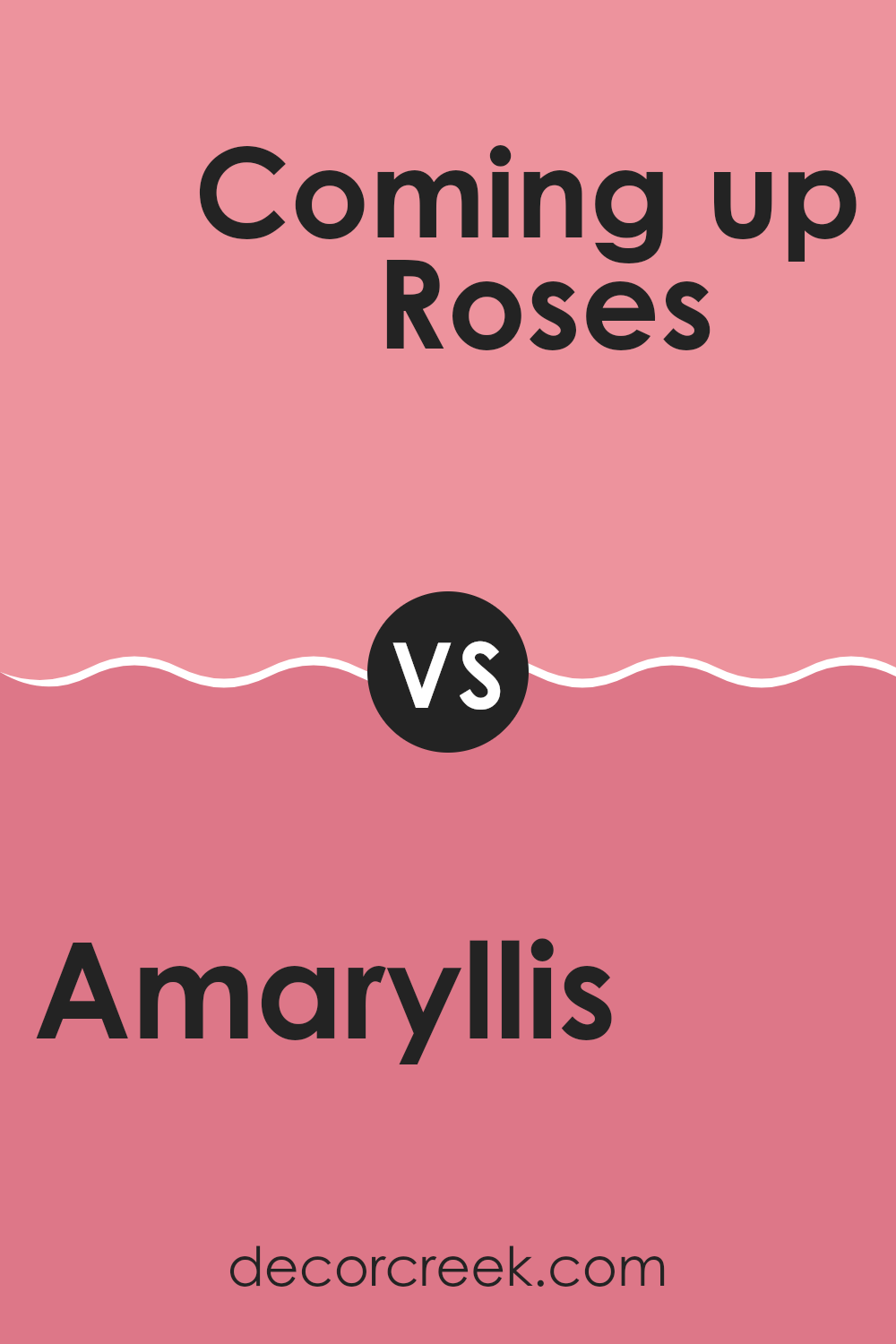 amaryllis_sw_6591_vs_coming_up_roses_sw_6585