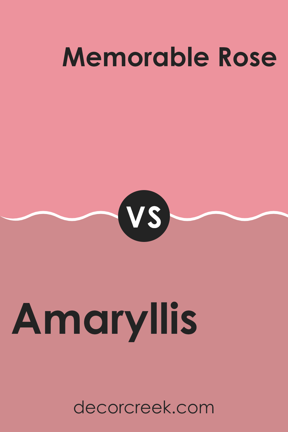 amaryllis_sw_6591_vs_memorable_rose_sw_6311