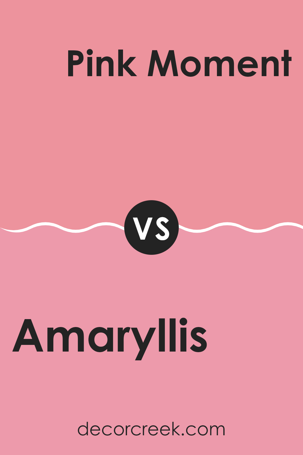 amaryllis_sw_6591_vs_pink_moment_sw_6857