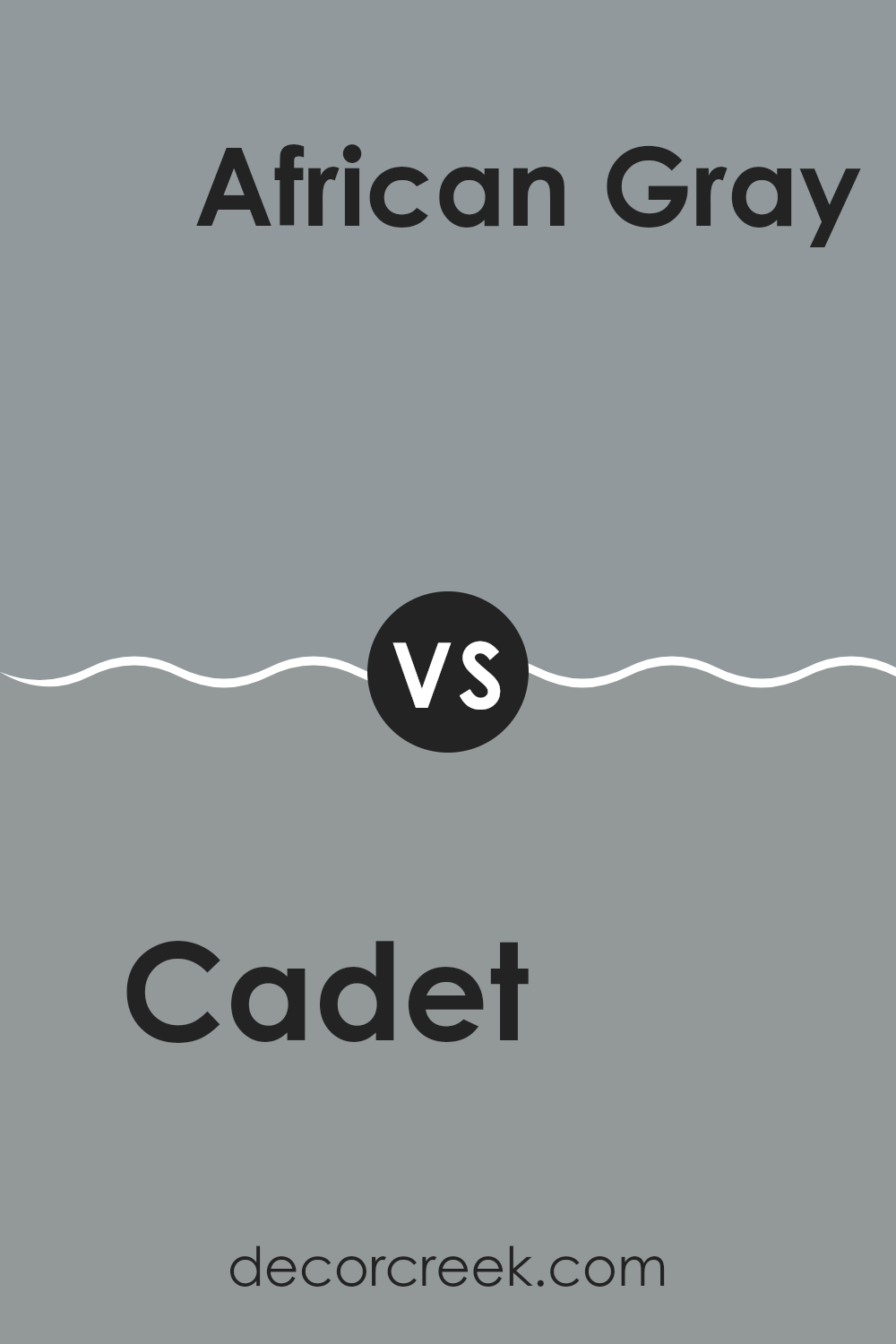 cadet_sw_9143_vs_african_gray_sw_9162