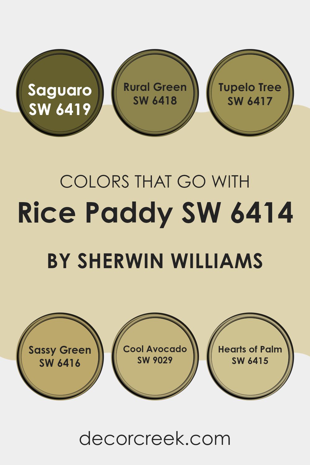 colors_that_go_with_rice_paddy_sw_6414