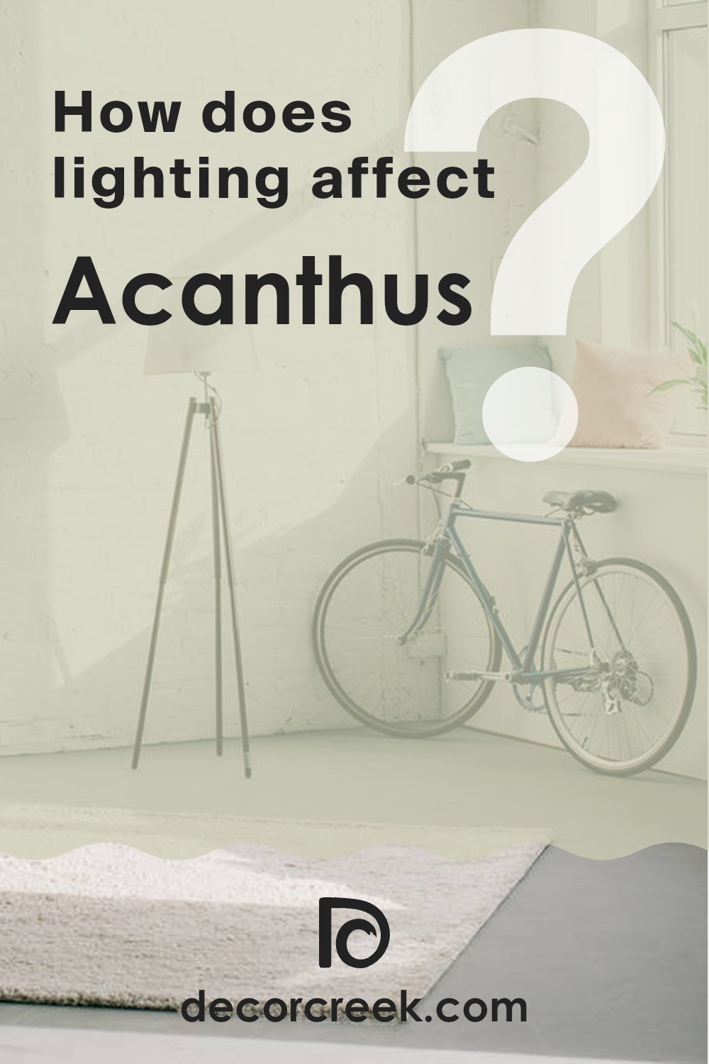 how_does_lighting_affect_acanthus_sw_0029