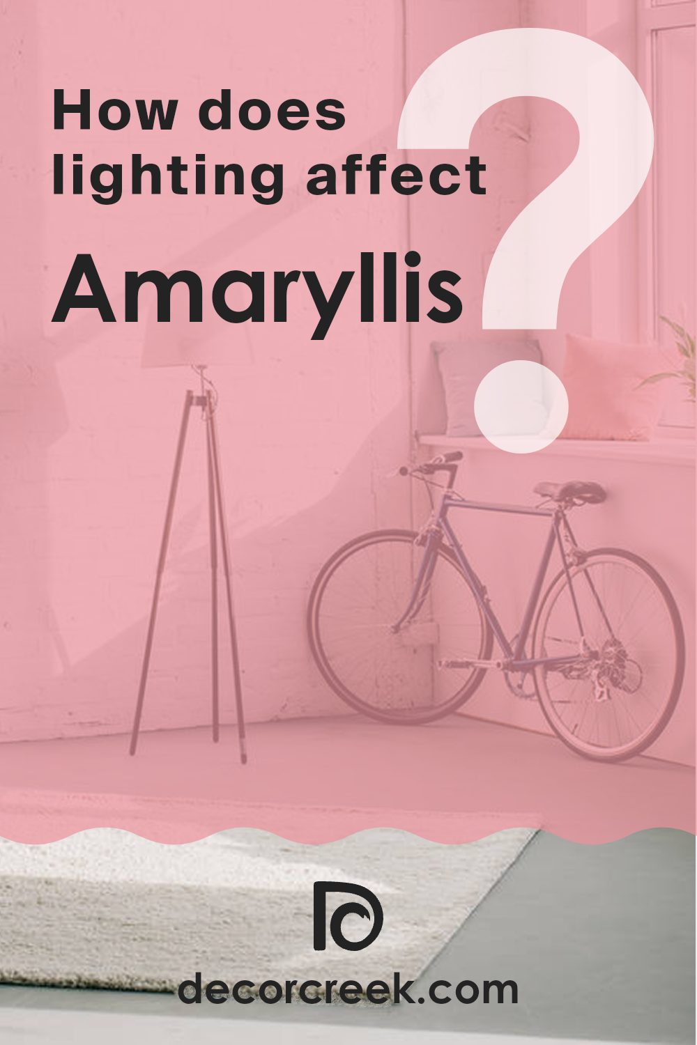 how_does_lighting_affect_amaryllis_sw_6591