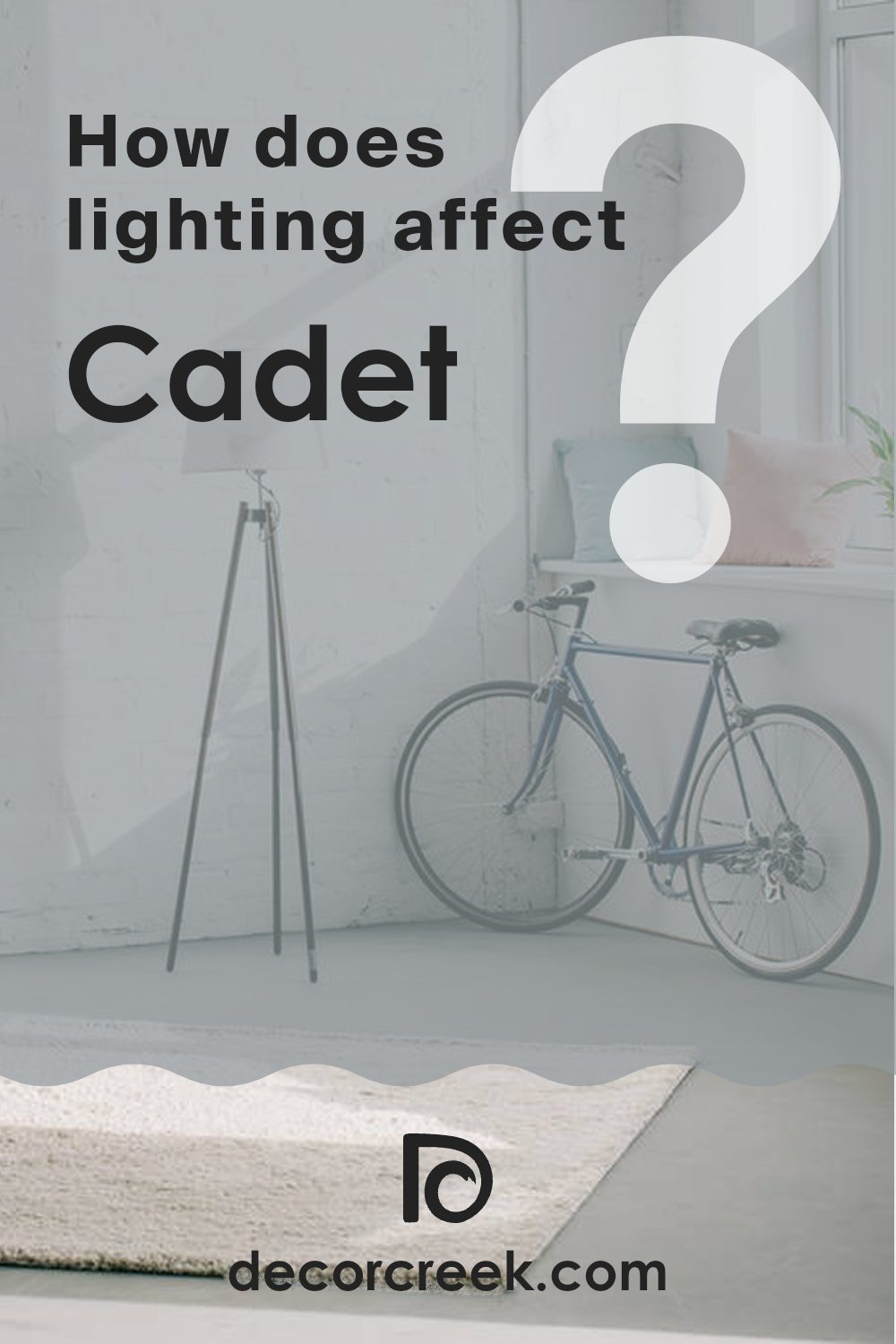 how_does_lighting_affect_cadet_sw_9143