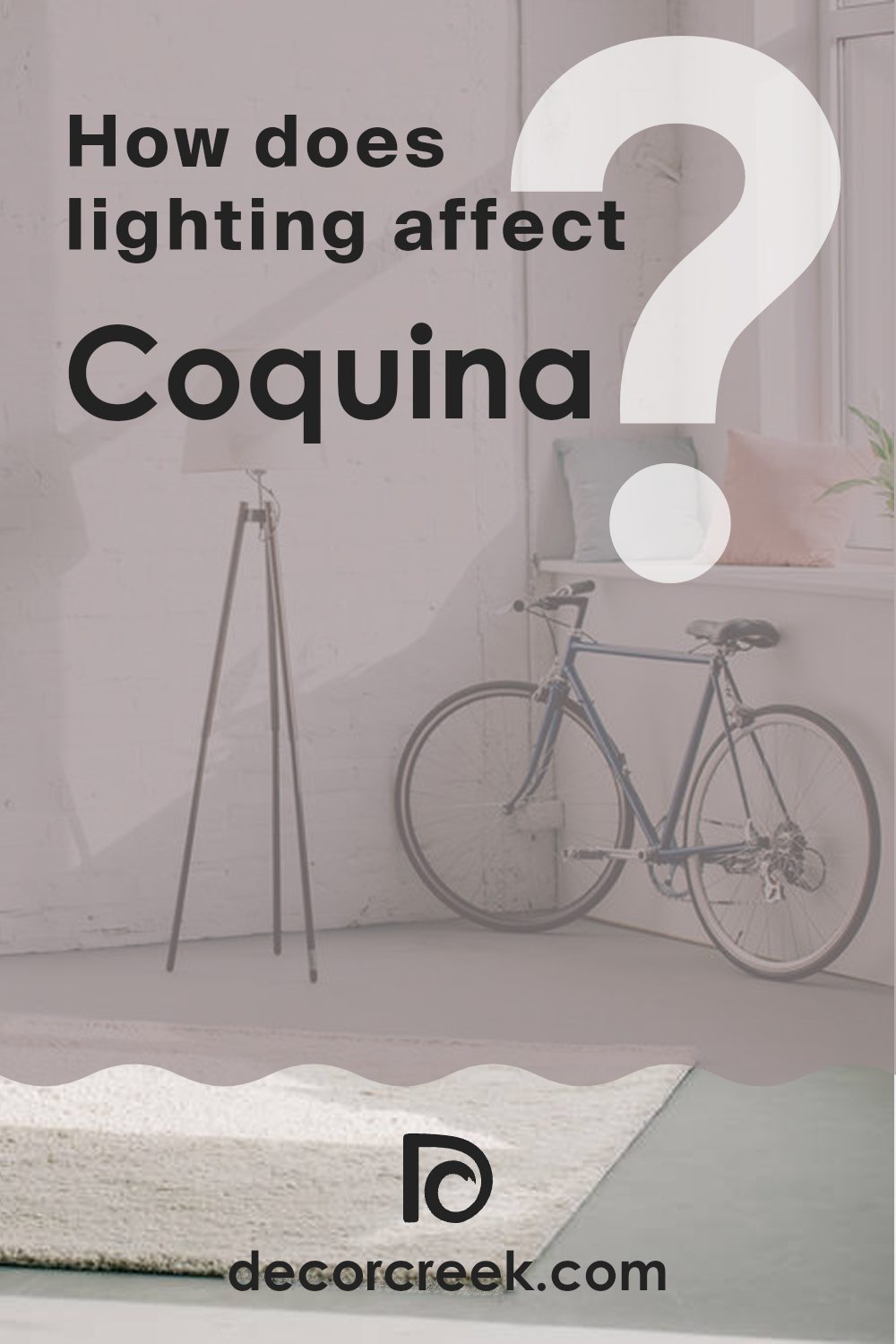 how_does_lighting_affect_coquina_sw_9158