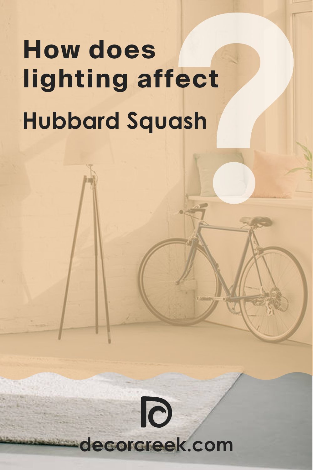 how_does_lighting_affect_hubbard_squash_sw_0044