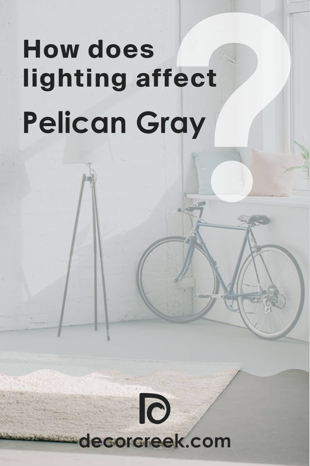 how_does_lighting_affect_pelican_gray_1612