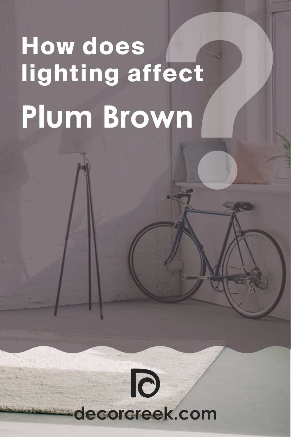 how_does_lighting_affect_plum_brown_sw_6272
