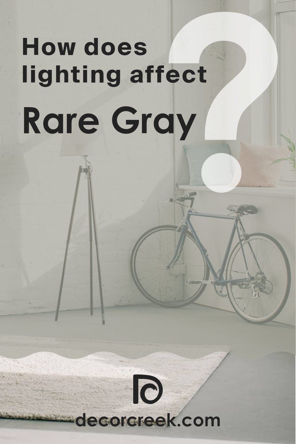 how_does_lighting_affect_rare_gray_sw_6199